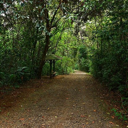 Tree Houses Hotel Costa Rica Florencia エクステリア 写真