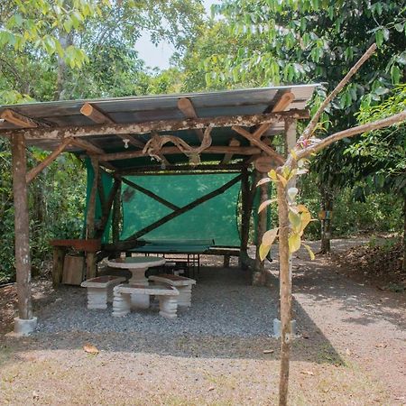 Tree Houses Hotel Costa Rica Florencia エクステリア 写真