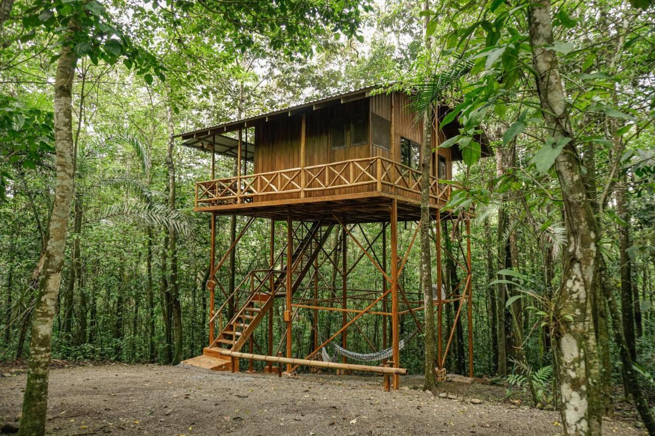 Tree Houses Hotel Costa Rica Florencia エクステリア 写真