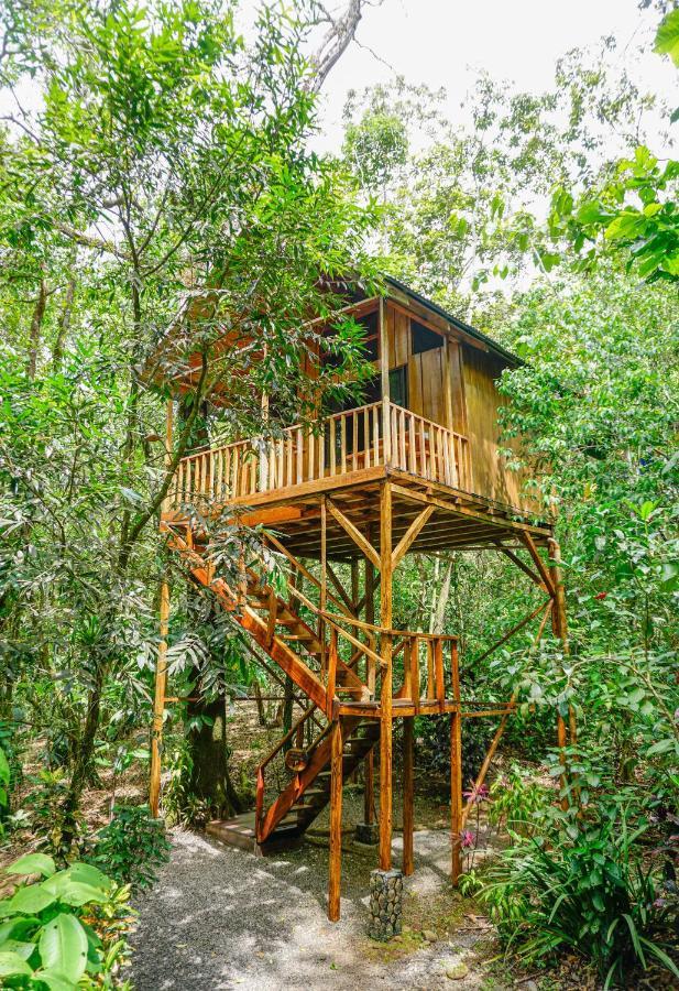Tree Houses Hotel Costa Rica Florencia エクステリア 写真