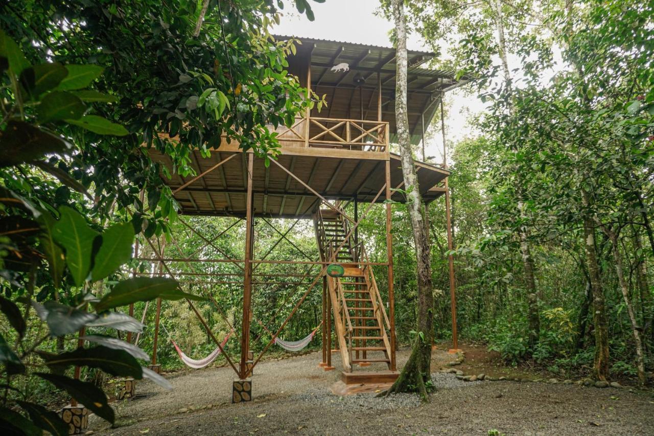 Tree Houses Hotel Costa Rica Florencia エクステリア 写真