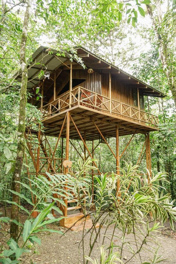 Tree Houses Hotel Costa Rica Florencia エクステリア 写真