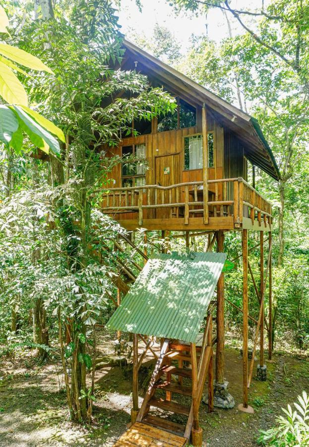 Tree Houses Hotel Costa Rica Florencia エクステリア 写真