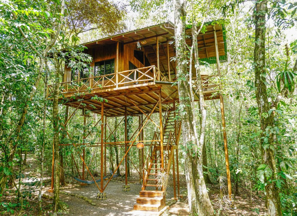 Tree Houses Hotel Costa Rica Florencia エクステリア 写真