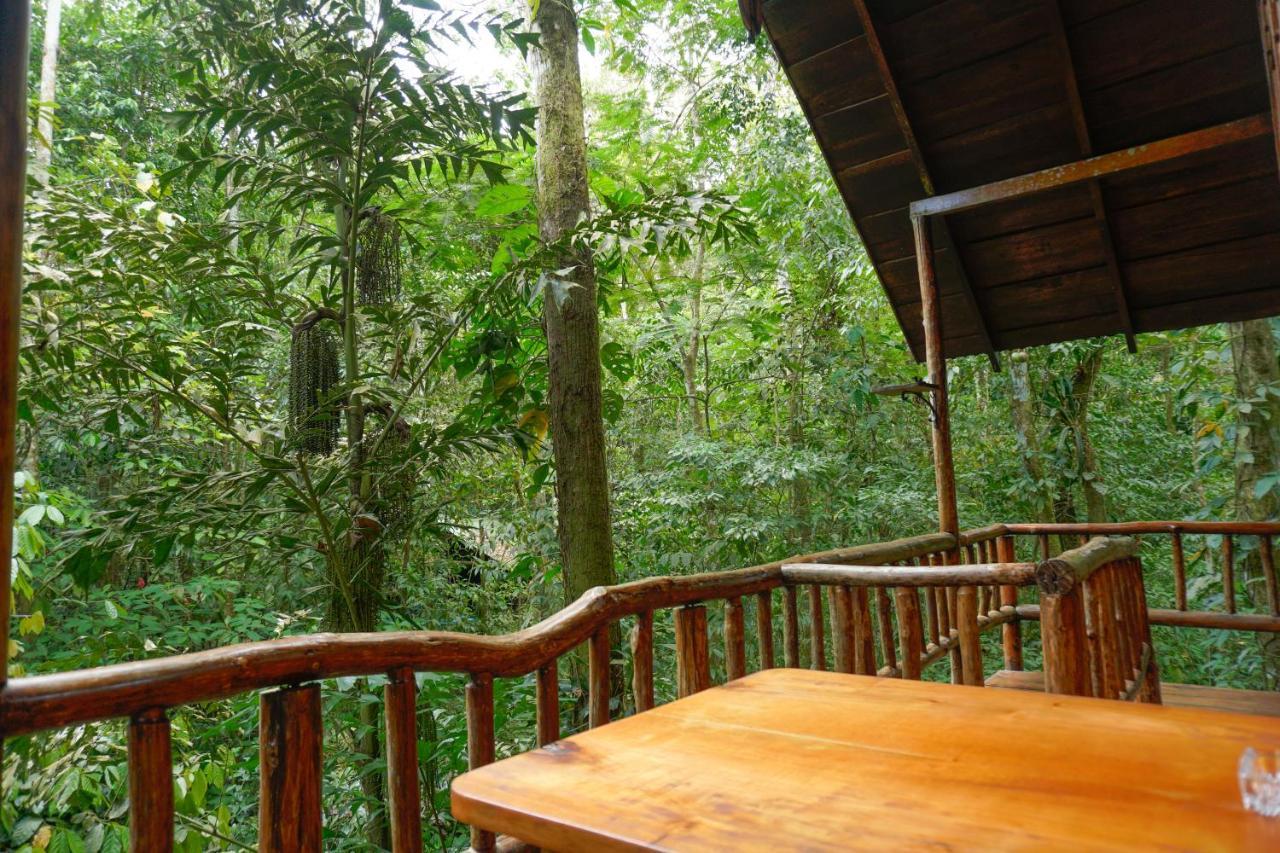 Tree Houses Hotel Costa Rica Florencia エクステリア 写真