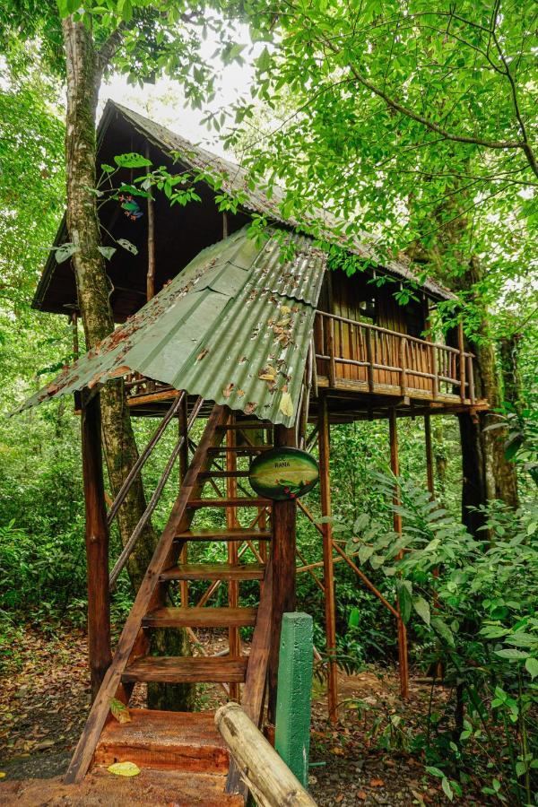 Tree Houses Hotel Costa Rica Florencia エクステリア 写真