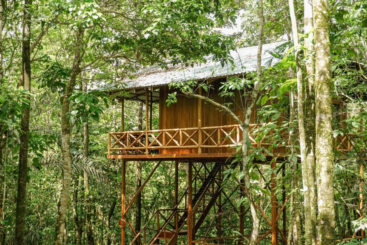 Tree Houses Hotel Costa Rica Florencia エクステリア 写真