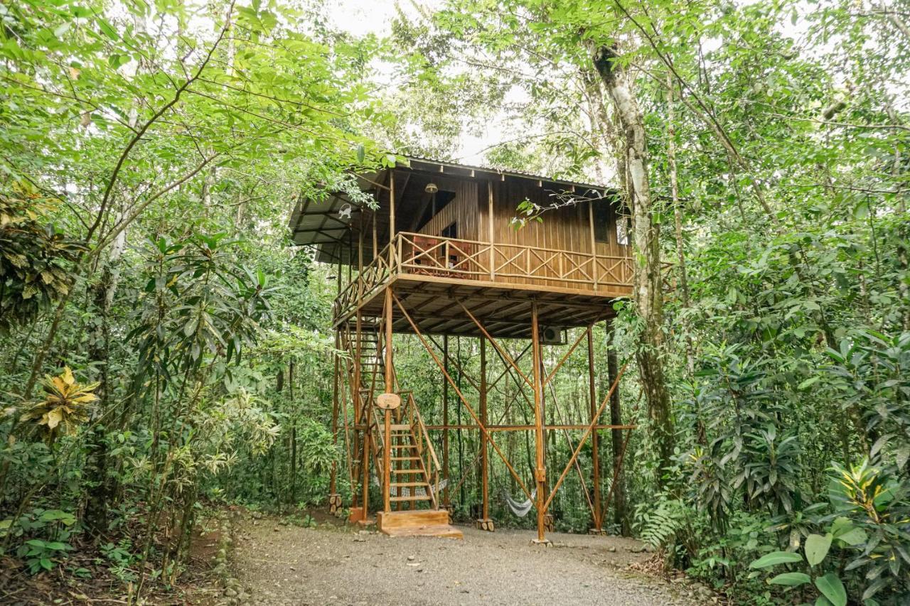 Tree Houses Hotel Costa Rica Florencia エクステリア 写真