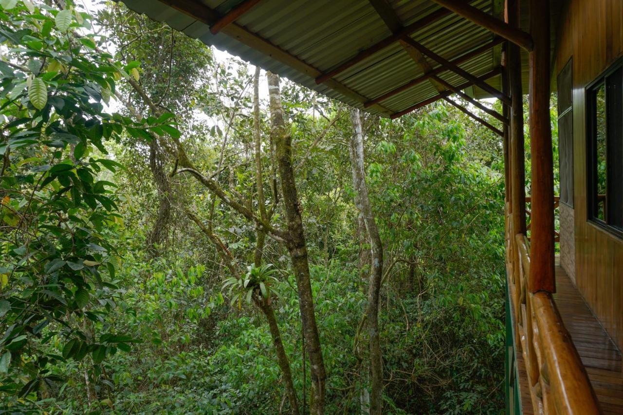 Tree Houses Hotel Costa Rica Florencia エクステリア 写真