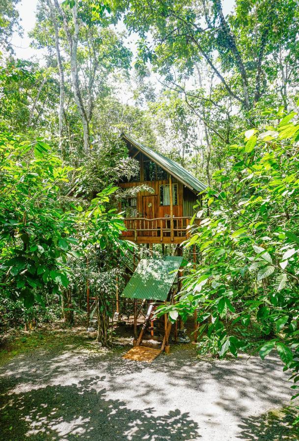 Tree Houses Hotel Costa Rica Florencia エクステリア 写真