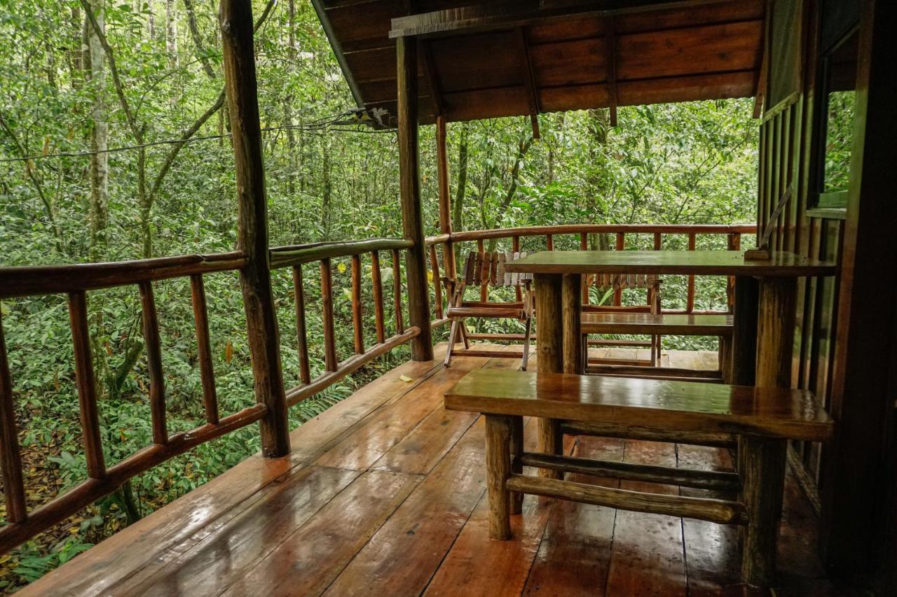 Tree Houses Hotel Costa Rica Florencia エクステリア 写真