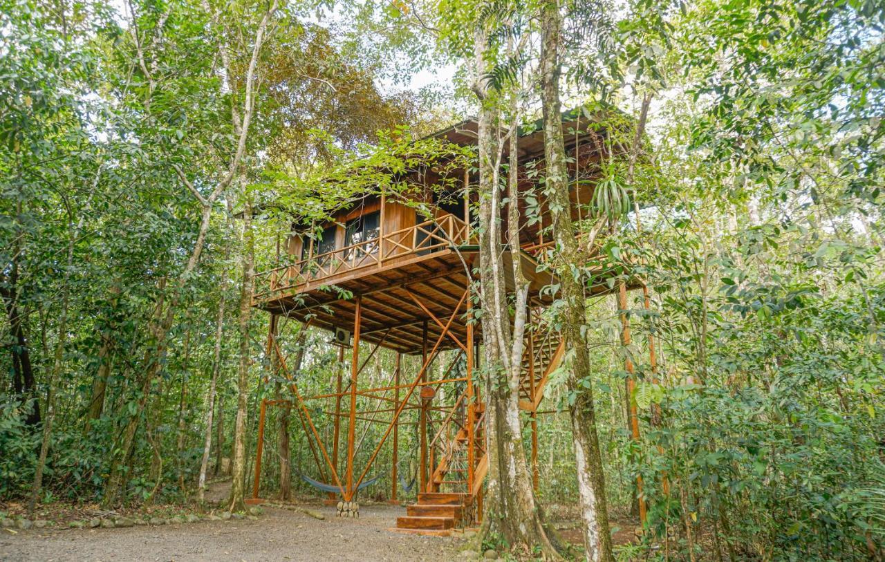 Tree Houses Hotel Costa Rica Florencia エクステリア 写真