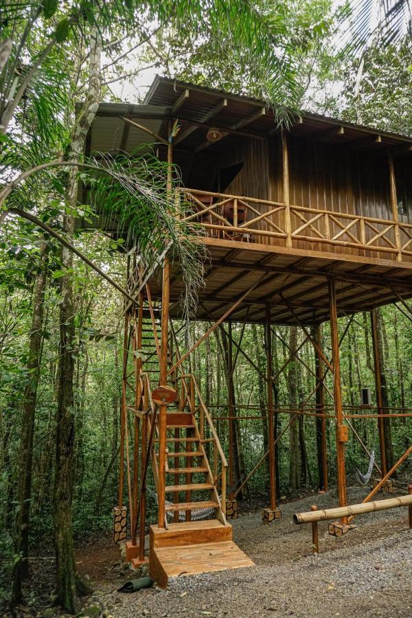 Tree Houses Hotel Costa Rica Florencia エクステリア 写真