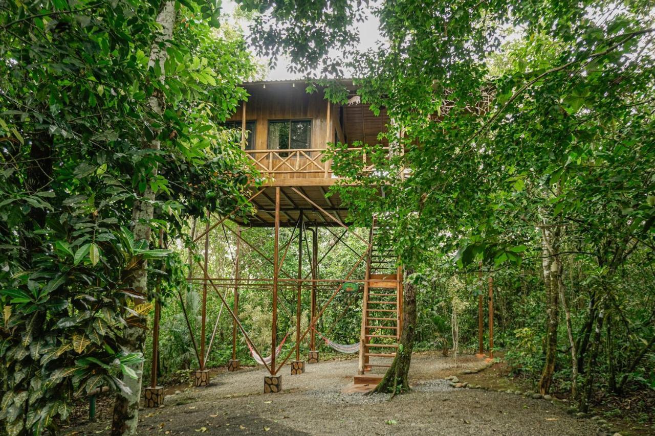 Tree Houses Hotel Costa Rica Florencia エクステリア 写真