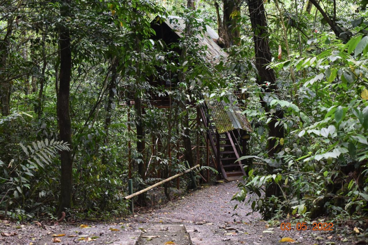 Tree Houses Hotel Costa Rica Florencia エクステリア 写真