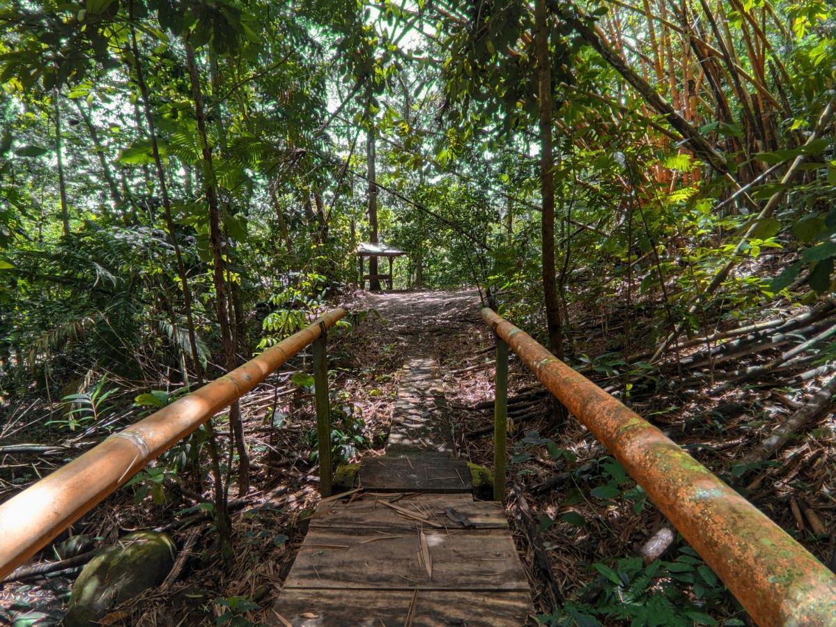 Tree Houses Hotel Costa Rica Florencia エクステリア 写真