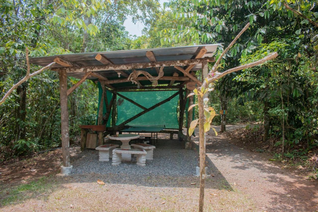 Tree Houses Hotel Costa Rica Florencia エクステリア 写真
